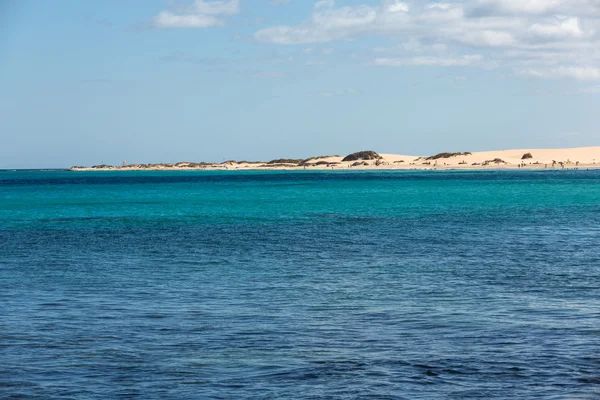 Fuerteventura, Kanarya Adaları Corralejo kumsalda. İspanya