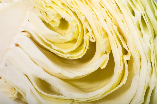 White  cabbage, texture of cut white  cabbage showing inside curly surface — Stock Photo, Image