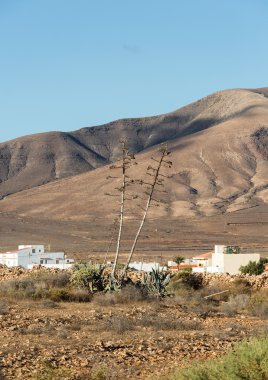 Fuerteventura üzerinde güzel volkanik dağlar. Kanarya Adaları. Fuerteventura. Kanarya Adaları