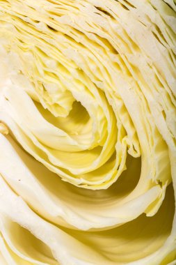 Beyaz lahana, doku içinde kıvırcık yüzey gösterilen kesilmiş beyaz lahana