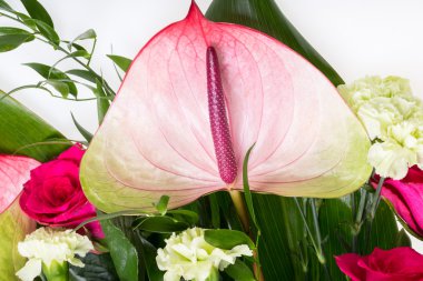 güzel buket taze kırmızı güller ve Antoryum