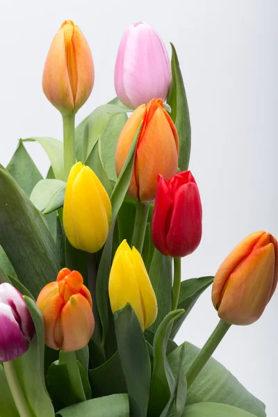 Colorido ramo de flores frescas de tulipán de primavera —  Fotos de Stock