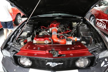 Ford Mustang Gt Moto Show Cracow Polonya 3rd edition nde sergilenmektedir. Katılımcı otomotiv sektörünün en ilginç yönleri mevcut