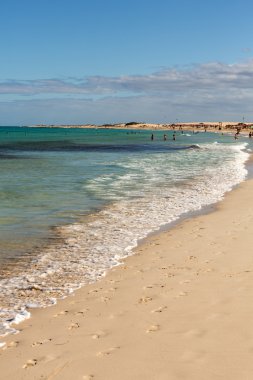 Fuerteventura, Kanarya Adaları üzerinde Corralejo sahilde turistler dinlenme