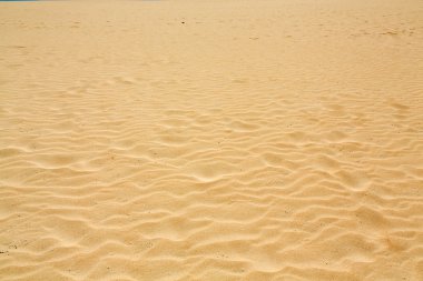 Kum desen doğa rezerv rüzgarla sonra Park doğal, Corralejo, Fuerteventura, Kanarya Adaları, İspanya.