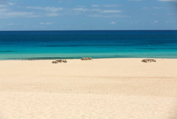 Corralejo strand op Fuerteventura, Canarische eilanden — Stockfoto