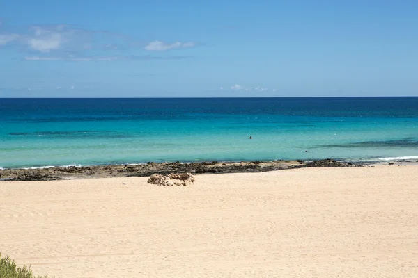 Corralejo strand op Fuerteventura, Canarische eilanden — Stockfoto