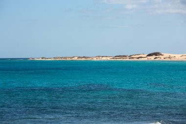 Fuerteventura, Kanarya Adaları Corralejo kumsalda. İspanya