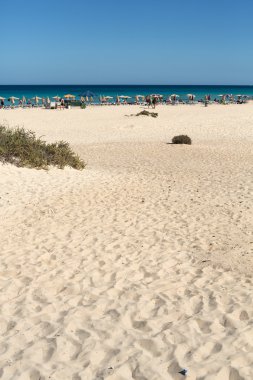 Fuerteventura, Kanarya Adaları üzerinde Corralejo sahilde turistler dinlenme
