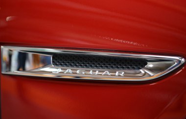 Jaguar metalik logo closeup Jaguar araba