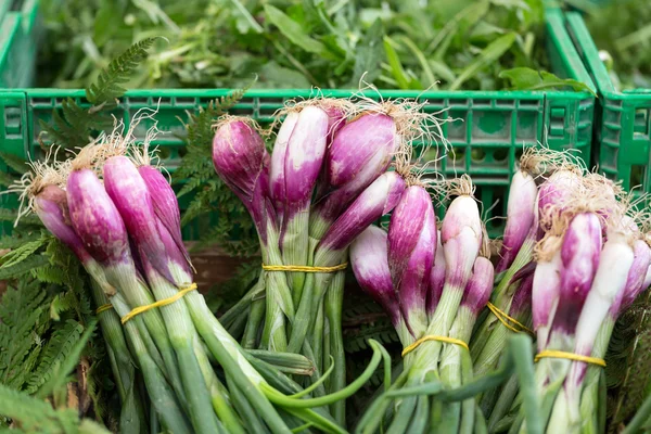 Frisk, röd lök på jordbrukarna marknaden — Stockfoto