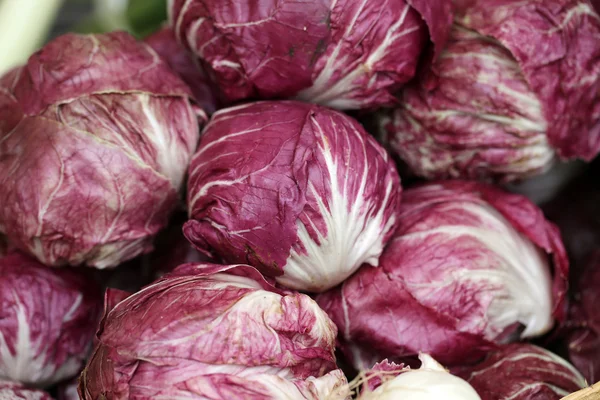 Radicchio púrpura fresca — Foto de Stock