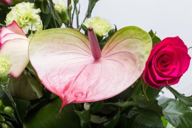 güzel buket taze kırmızı güller ve Antoryum