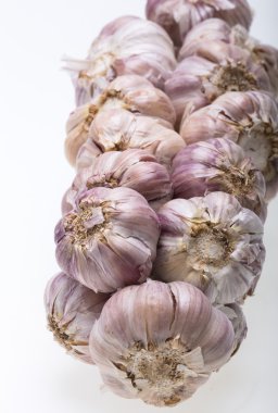 Beyaz arka plan üzerinde izole sarımsak dize