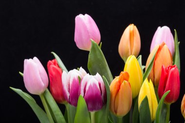 renkli taze bahar Lale çiçek buketi