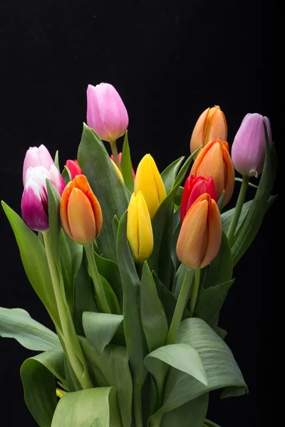 新鮮な春のチューリップの花のカラフルな花束 — ストック写真