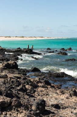 Fuerteventura, Kanarya Adaları Corralejo kumsalda. İspanya