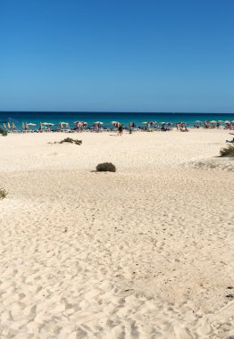 Fuerteventura, Kanarya Adaları üzerinde Corralejo sahilde turistler dinlenme