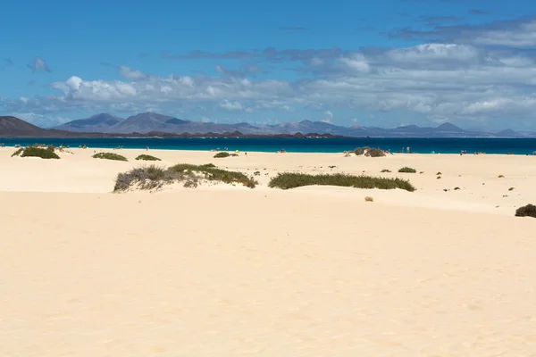 Playa de Corralejo en Fuerteventura, Islas Canarias — Foto de Stock