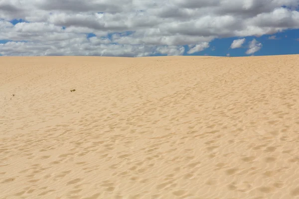 Kum desen doğa rezerv rüzgarla sonra Park doğal, Corralejo, Fuerteventura, Kanarya Adaları, İspanya. — Stok fotoğraf