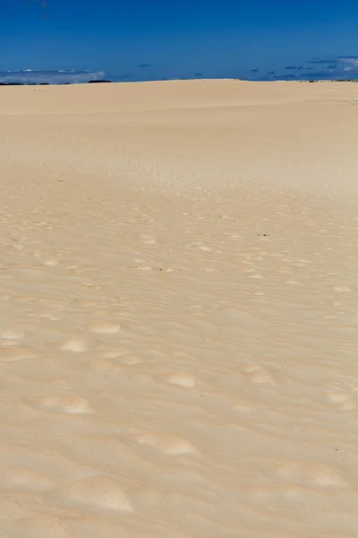Schémas de sable après vent sur la réserve naturelle, Parc naturel, Corralejo, Fuerteventura, Îles Canaries, Espagne . — Photo