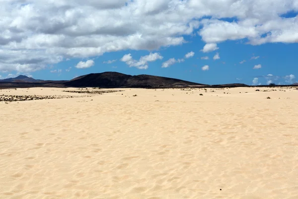 Corralejo kumsalda Fuerteventura, Kanarya Adaları — Stok fotoğraf