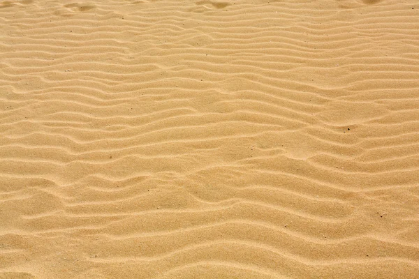 Padrões de areia após vento na reserva natural, Parque Natural, Corralejo, Fuerteventura, Ilhas Canárias, Espanha . — Fotografia de Stock