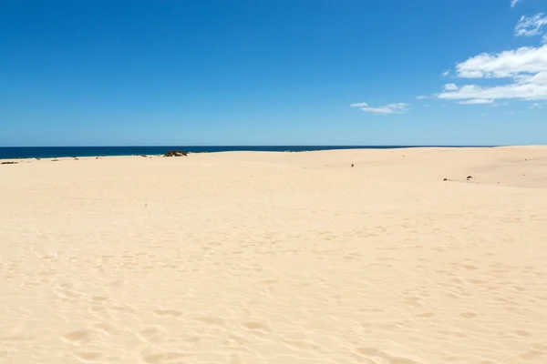 Corralejo strand op Fuerteventura, Canarische eilanden — Stockfoto