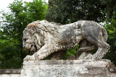 Aslan Bahçe Villa Borghese içinde heykel. Roma, İtalya
