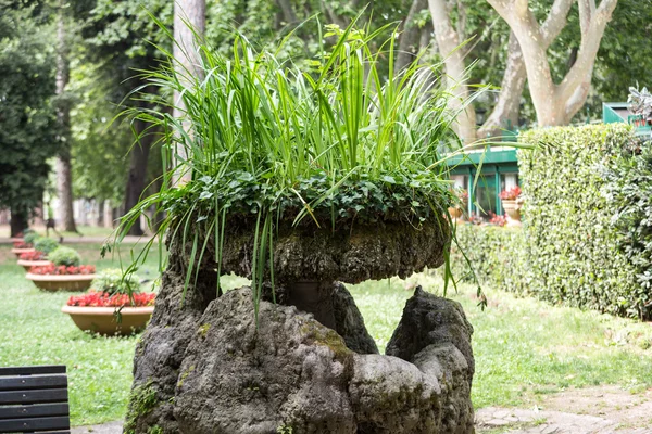 Ogród Villa Borghese w Rzymie, Włochy — Zdjęcie stockowe