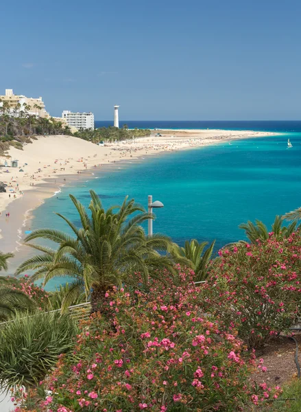 Plaży morro jable, Kanaryjskie wyspy fuerteventura, Hiszpania — Zdjęcie stockowe