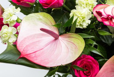 güzel buket taze kırmızı güller ve Antoryum