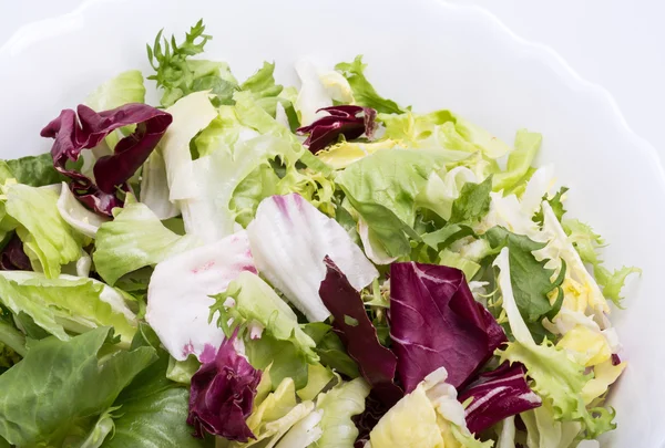  yeşil ve kırmızı yaprak marul