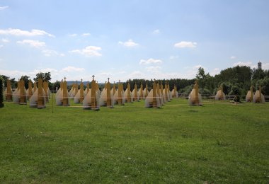  İlahi rahmet Lagiewniki kutsal, mutabakatı dilimleri. WYD katılımcılar için 50'den fazla ek confessionals itiraf etmek mümkün olacak. Cracow. Polonya