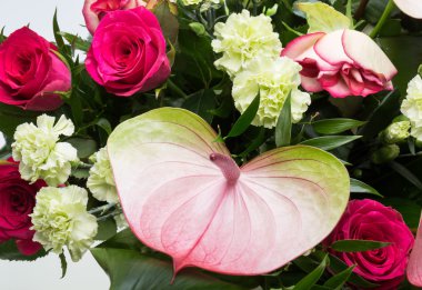 güzel buket taze kırmızı güller ve Antoryum