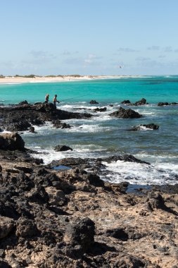 Fuerteventura, Kanarya Adaları Corralejo kumsalda. İspanya