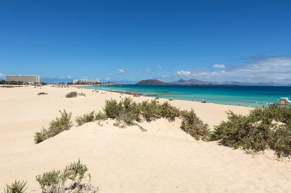 Praia do Corralejo em Fuerteventura, Ilhas Canárias. Espanha — Fotografia de Stock