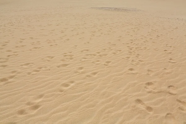 Kum desen doğa rezerv rüzgarla sonra Park doğal, Corralejo, Fuerteventura, Kanarya Adaları, İspanya. — Stok fotoğraf