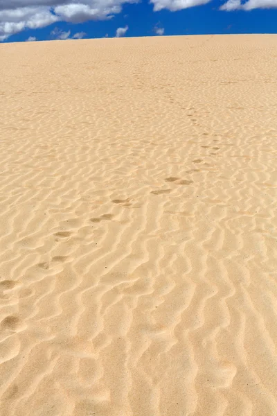 Sand patterns after wind  on the Nature reserve, Park Natural, Corralejo, Fuerteventura, Canary Islands, Spain. — Stock Photo, Image