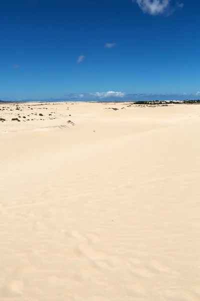 Stranden i Corralejo på Fuerteventura, Kanarieöarna. Spanien — Stockfoto