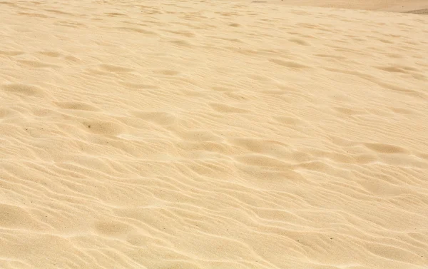 沙模式后风对自然保护区，公园自然、 科拉莱霍、 富埃特文图拉、 加那利群岛、 西班牙. — 图库照片
