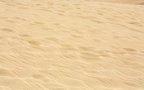 Sand patterns after wind  on the Nature reserve, Park Natural, Corralejo, Fuerteventura, Canary Islands, Spain. — Stock Photo, Image