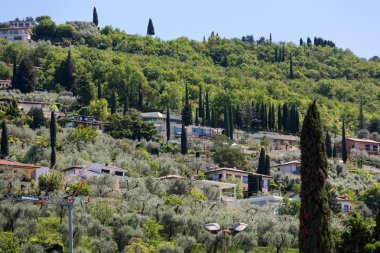 Bir Torri del Benaco Garda Gölü İtalya