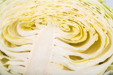 Beyaz lahana, doku içinde kıvırcık yüzey gösterilen kesilmiş beyaz lahana