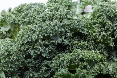 Sağlıklı taze kıvırcık lahana