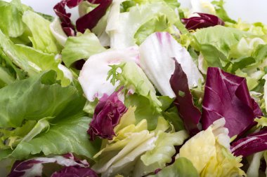  Yeşil ve kırmızı yaprak marul. Beyaz bir arka plan üzerinde izole