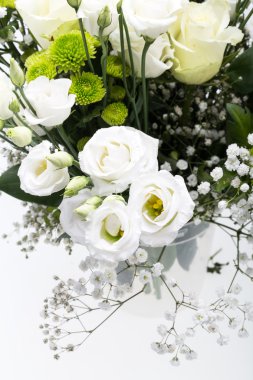 Beyaz güller yakın çekim