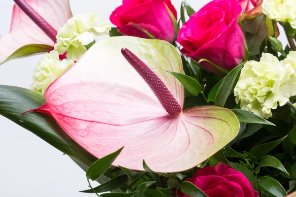 Krásná kytice z čerstvé červené růže, Anturie — Stock fotografie