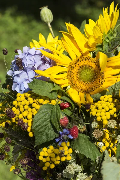 Handmade  beautiful bouquets from flowers and herbs — Stock Photo, Image