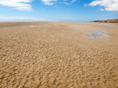 plaj playa de sotavento, Kanarya Adası fuerteventura